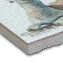 Imán Llamita B 4.6X4.6X0.4