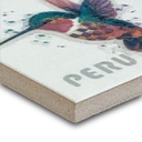 Imán Qente B 4.6X4.6X0.4